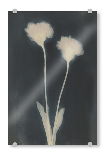 Acrylglasbild "Faded Bloom" artboxONE - Floral,Abstrakt,Für Mama - Blume,Blumen,Floral,Trockenblumen,Fotografie