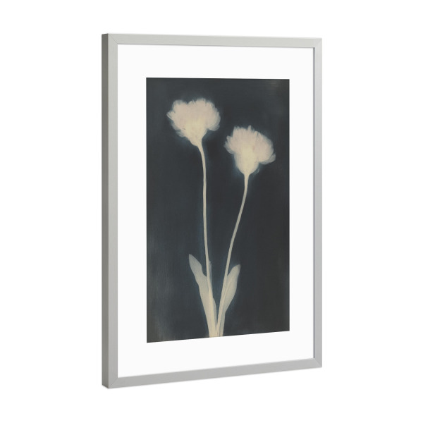 Poster mit Rahmen Silber "Faded Bloom" artboxONE - Floral,Abstrakt,Für Mama - Blume,Blumen,Floral,Trockenblumen,Fotografie