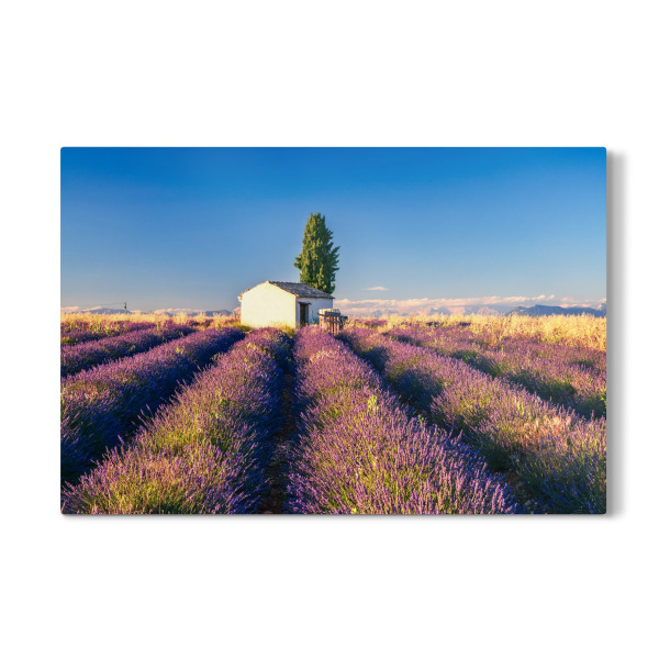 Galerie-Print "Sommer in der Provence" 75x50 cm artboxONE