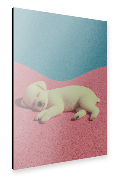 Alu-Dibond "Babyhund im Kuschelmodus" 30x20 cm artboxONE