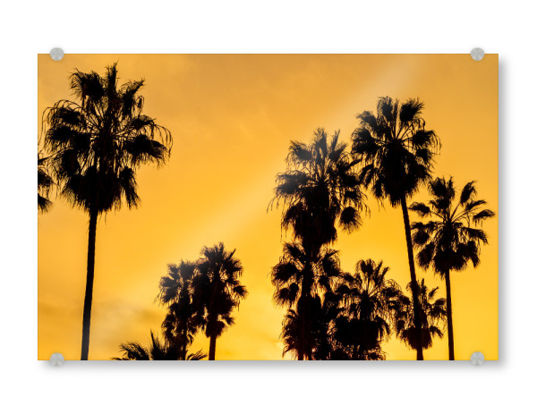 Acrylglasbild "Palm trees at orange sunset" artboxONE - Natur,Reise,Reise / Strand und Meer
