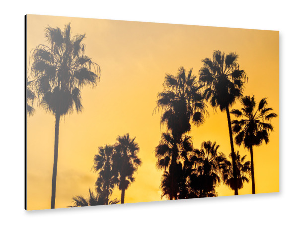 Alu-Dibond "Palm trees at orange sunset" 30x20 cm artboxONE