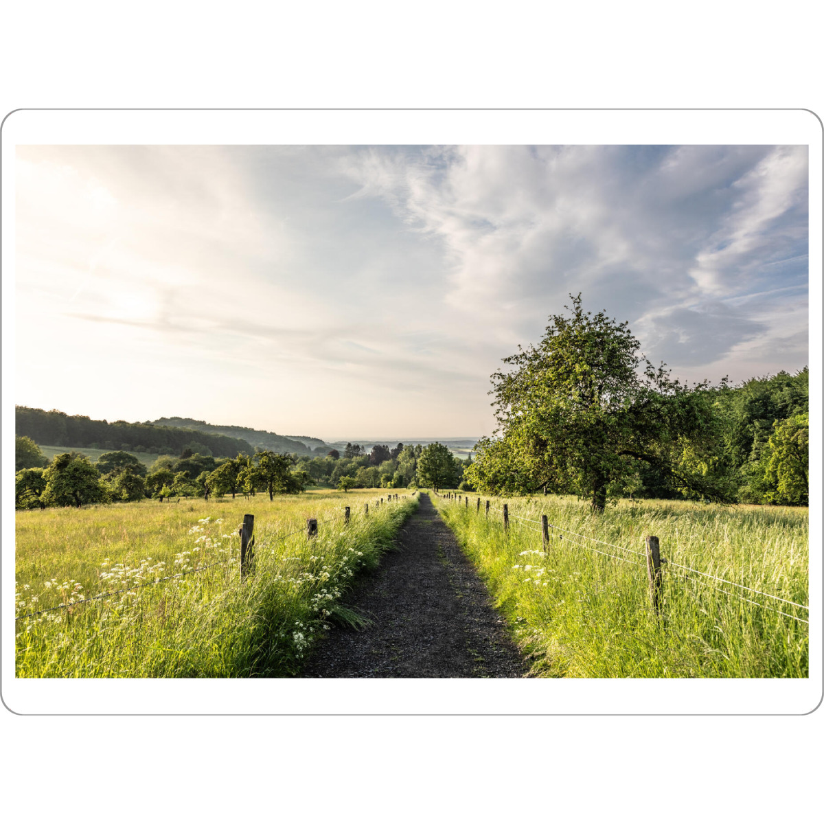 Tischset "Sommer im Siebengebirge" artboxONE - Natur,Reise - Wald,Feldweg,Wanderweg,Siebengebirge,Landschaft,Ländlich,Nordrhein-westfalen,Zaun,Wiese