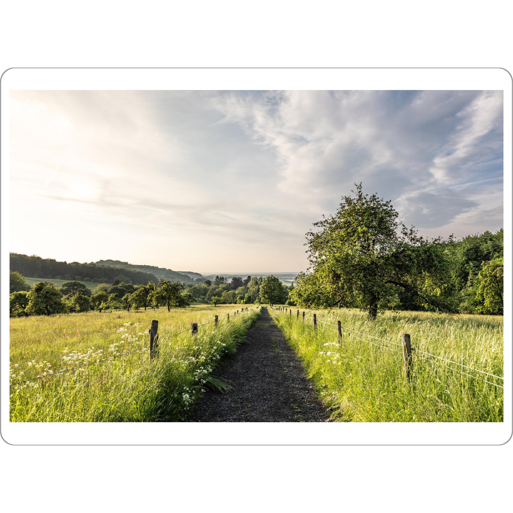 Tischset "Sommer im Siebengebirge" artboxONE - Natur,Reise - Wald,Feldweg,Wanderweg,Siebengebirge,Landschaft,Ländlich,Nordrhein-westfalen,Zaun,Wiese