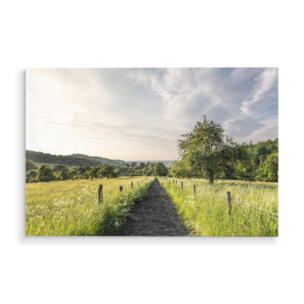 Holzbild "Sommer im Siebengebirge" artboxONE - Natur,Reise - Wald,Feldweg,Wanderweg,Siebengebirge,Landschaft,Ländlich,Nordrhein-westfalen,Zaun,Wiese