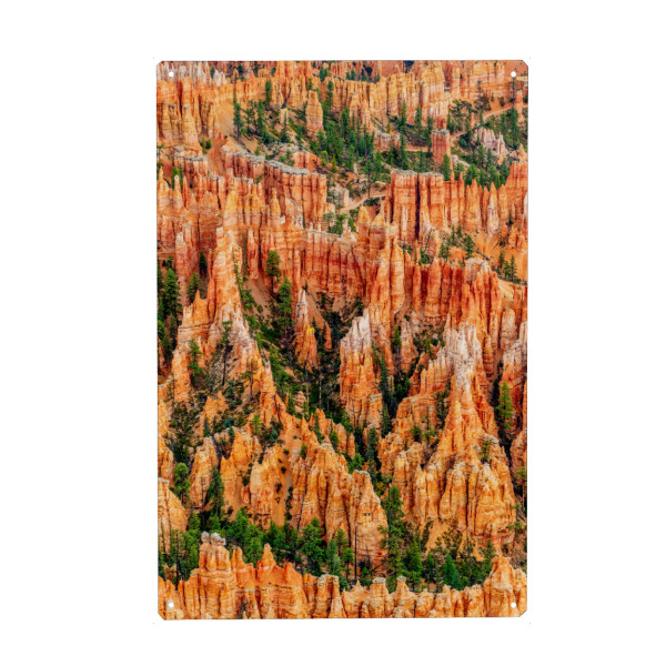 Holzbild "Bryce Canyon NP" artboxONE - Natur - Bryce,Usa,Utah,Usa,Nationalpark,Canyon,Rock,Formationen,Hoodoos,Sandstein,Erosion