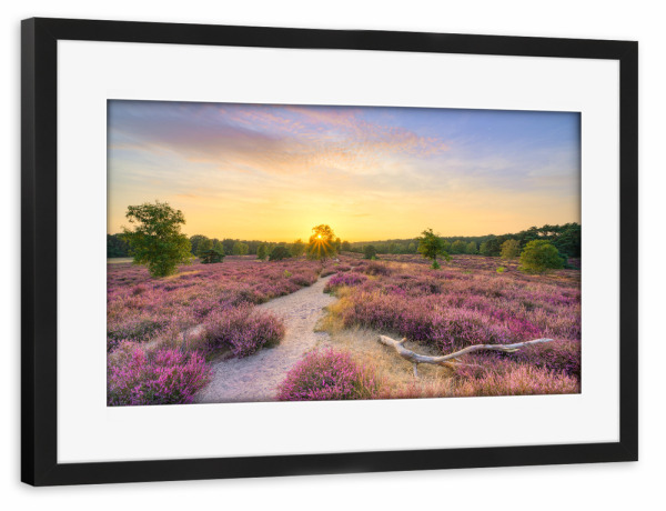 Poster mit Rahmen schwarz "Sommerabend in der Heide" artboxONE - Natur,Reise