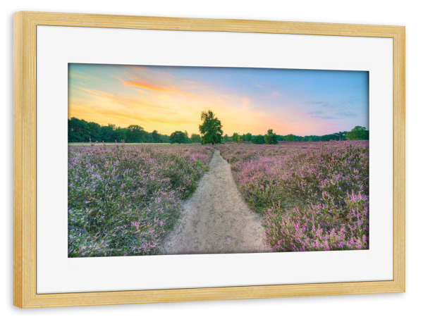 Poster mit Rahmen kiefer "Abendstimmung in der Heide" artboxONE - Natur,Reise