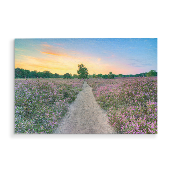 Holzbild "Abendstimmung in der Heide" artboxONE - Natur,Reise