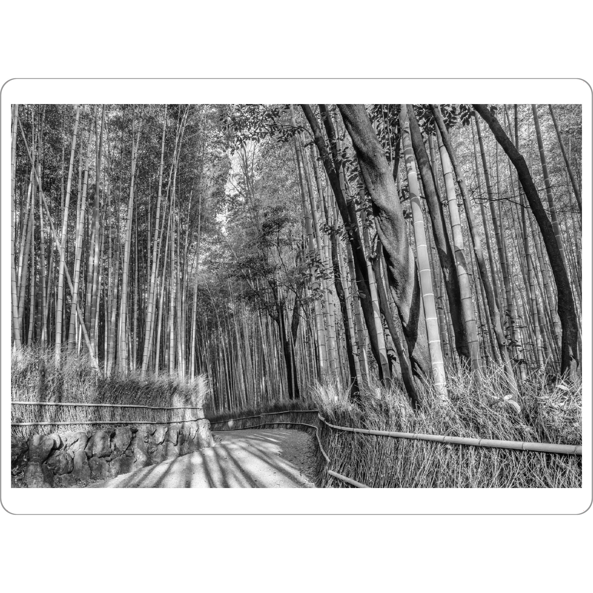 Tischset "Bambuswald in Kyoto - Monochrom" artboxONE - Natur,Schwarzweiß,Reise / Asien
