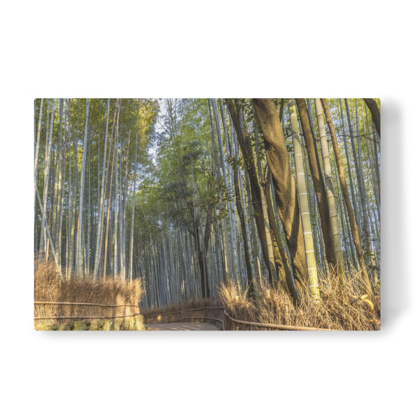 Leinwandbild "Arashiyama Bambuswald Kyoto" artboxONE - Natur,Reise / Asien