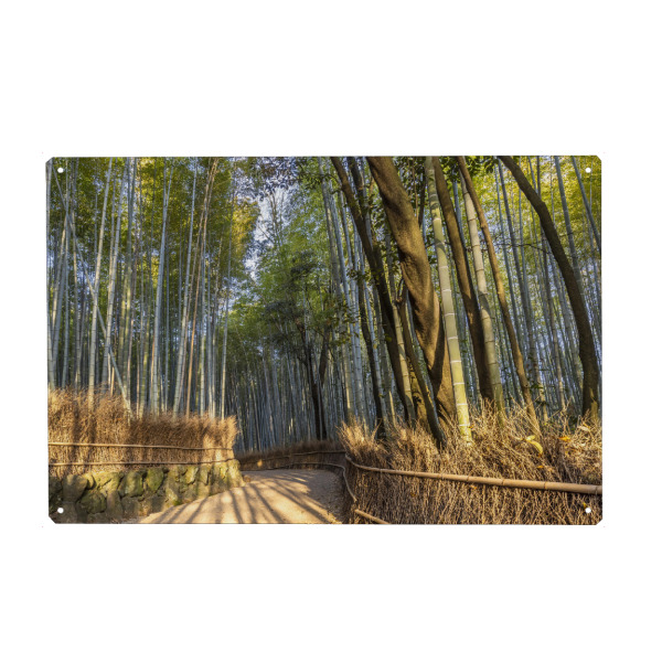 Metall Poster "Arashiyama Bambuswald Kyoto" artboxONE - Natur,Reise / Asien