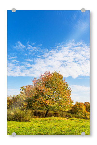 Acrylglasbild "Herbstliche Landschaft" artboxONE - Natur,Reise