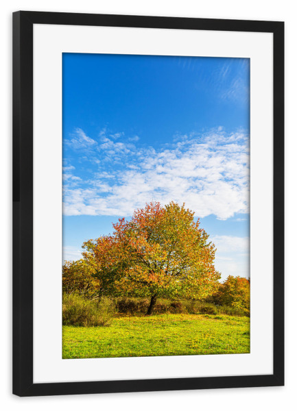 Poster mit Rahmen schwarz "Herbstliche Landschaft" artboxONE - Natur,Reise