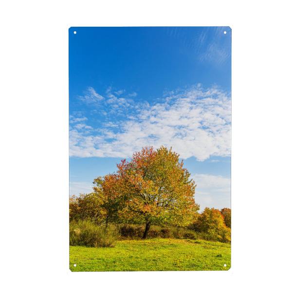 Metall Poster "Herbstliche Landschaft" artboxONE - Natur,Reise