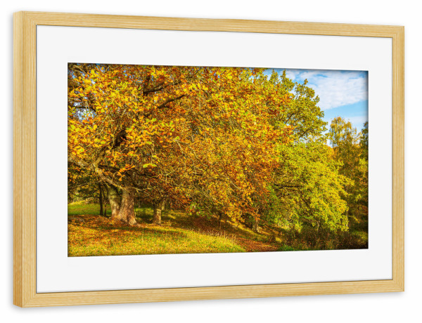 Poster mit Rahmen kiefer "Landschaft im Herbst" artboxONE - Natur,Reise