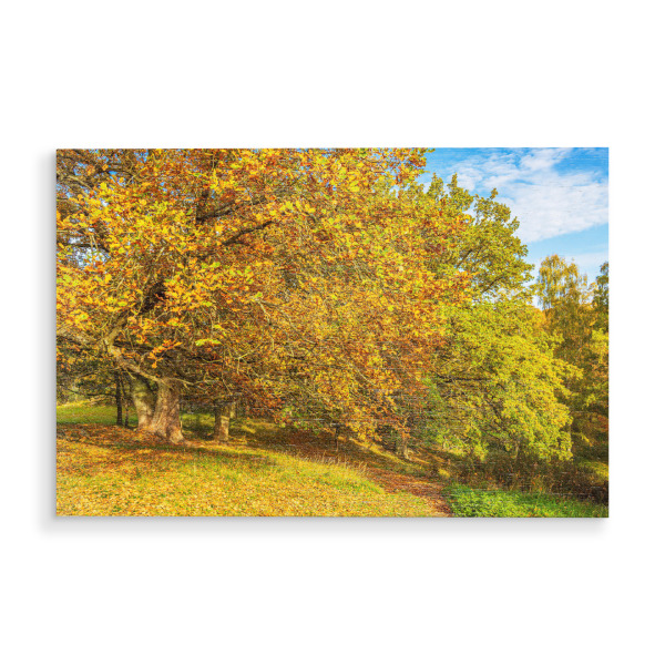 Holzbild "Landschaft im Herbst" artboxONE - Natur,Reise