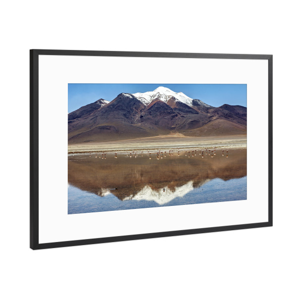 Poster mit Rahmen Schwarz (Metallic) "Laguna Colorada im Altiplano" artboxONE - Natur,Reise