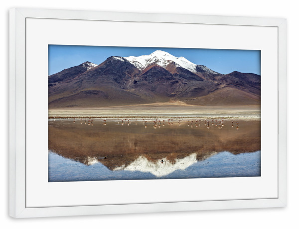 Poster mit Rahmen weiß "Laguna Colorada im Altiplano" artboxONE - Natur,Reise