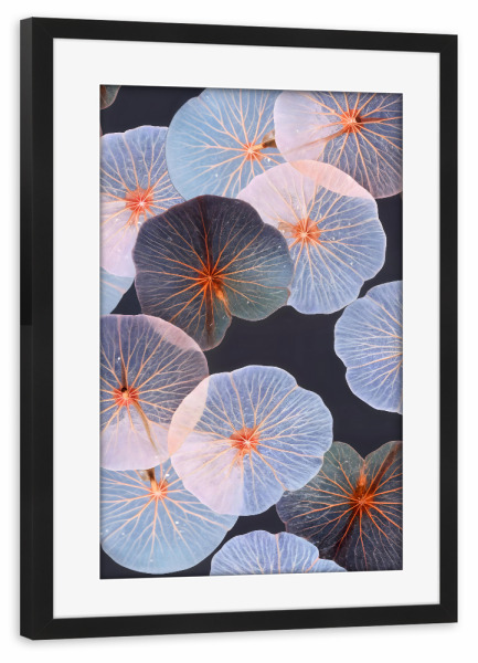 Poster mit Rahmen schwarz "Translucence" artboxONE - Natur - Nature,Plants,Leaves,Foliage,Scandinavian,Neutral,Veins,Intricate,Photography