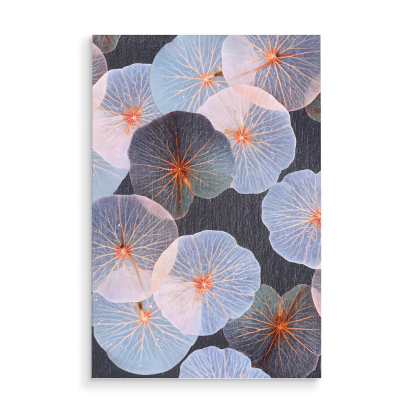 Holzbild "Translucence" artboxONE - Natur - Nature,Plants,Leaves,Foliage,Scandinavian,Neutral,Veins,Intricate,Photography