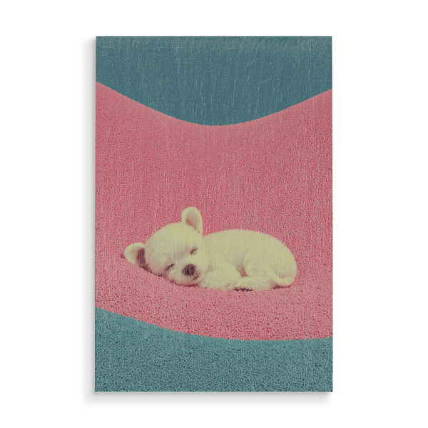 Holzbild "Ruhepause für Welpen" artboxONE - Tiere,Geometrie,Liebe