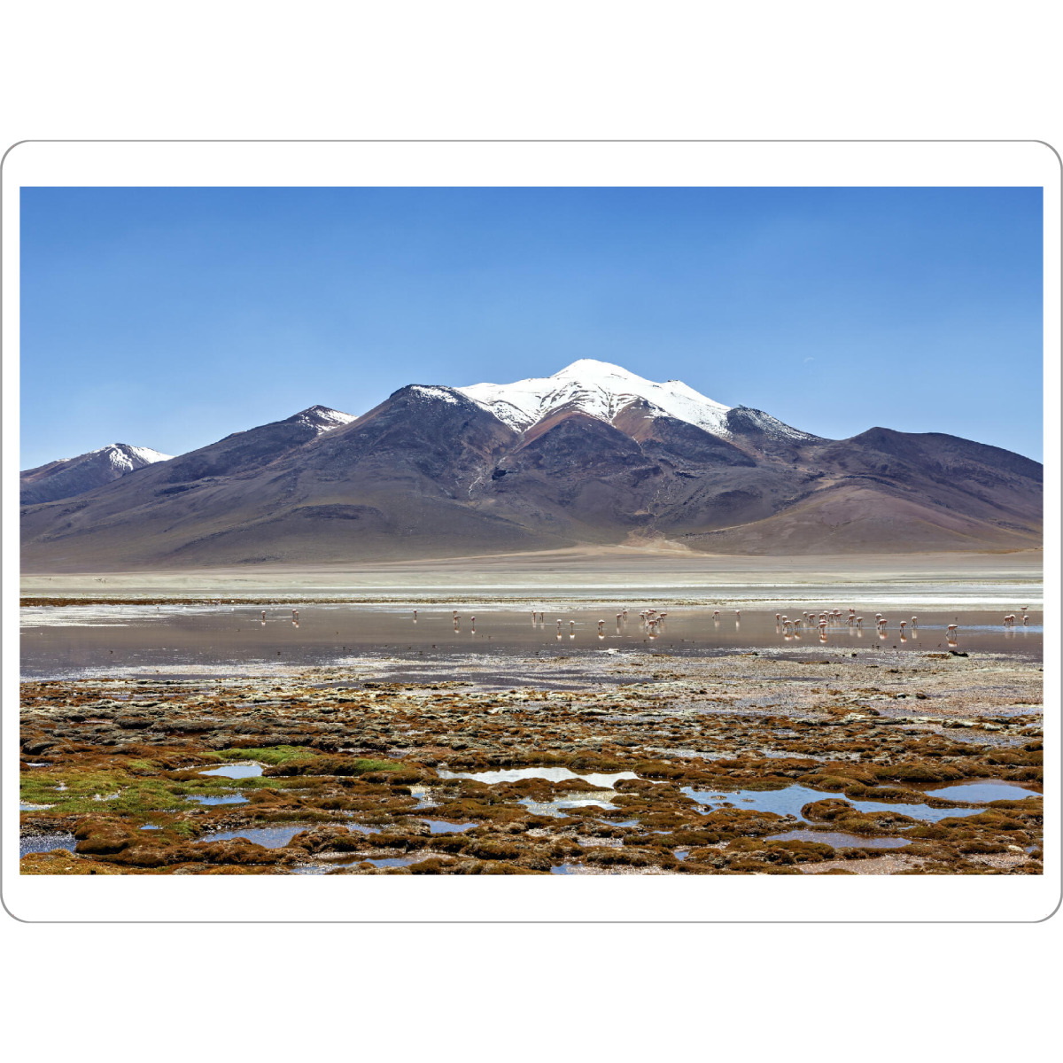 Tischset "Laguna Colorada" artboxONE - Natur,Reise - Bolivien,Altiplano,Laguna,Colorada,Laguna colorada,See,Vulkan,Hochebene,Landschaft,Natur