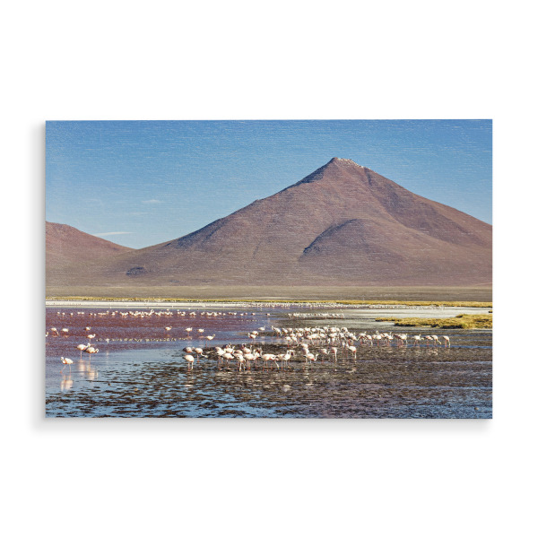 Holzbild "Die Flamingos" artboxONE - Natur,Reise,Tiere - Bolivien,Flamingo,Altiplano,Laguna colorada,Vogel,Salar de uyuni,Südamerika,Anden