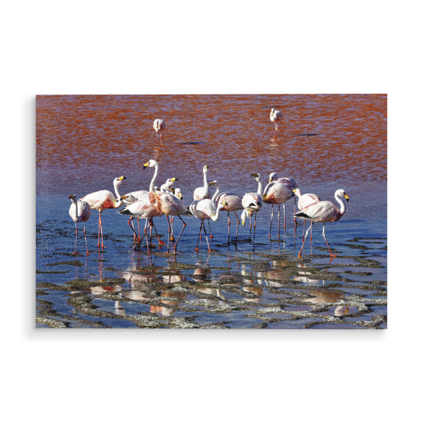 Holzbild "Anden Flamingos" artboxONE - Natur,Reise,Tiere - Bolivien,Flamingo,Altiplano,Laguna colorada,Vogel,Salar de uyuni,Südamerika,Anden