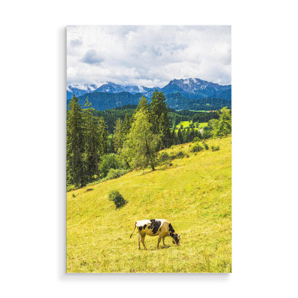 Holzbild "Kuh und Alpenblick" artboxONE - Natur,Reise,Tiere