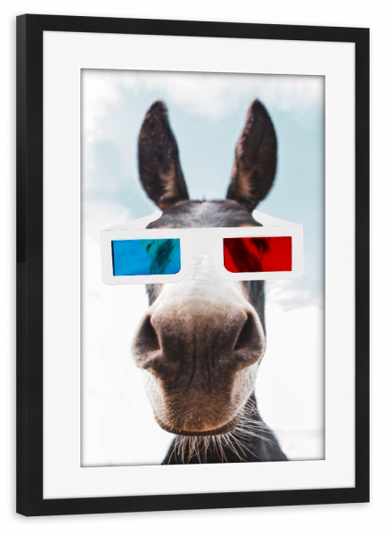 Poster mit Rahmen schwarz "Esel in 3d" artboxONE - Natur,Film,Tiere - Film,Esel,3d -brille,Spaß,Verspielt,Tier
