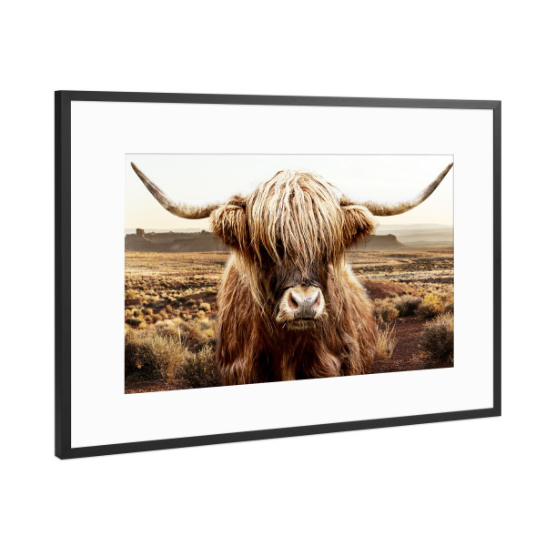 Poster mit Rahmen Schwarz (Metallic) "Talhochland" artboxONE - Natur,Tiere - Kuh,Hochlandkuh,Wüste,Tier