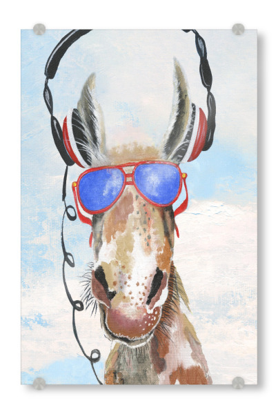 Acrylglasbild "Spielen Sie meinen Musikendelke" artboxONE - Natur,Tiere,Musik - Esel,Musik,Kopfhörer,Brille,Spaß,Süß,Verspielt,Tier