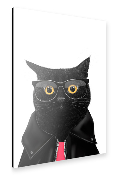 Alu-Dibond "Stilvolle schwarze Katze" 30x20 cm artboxONE