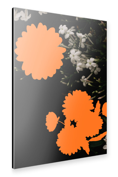 Alu-Dibond "Negative Space Bloom" 30x20 cm artboxONE