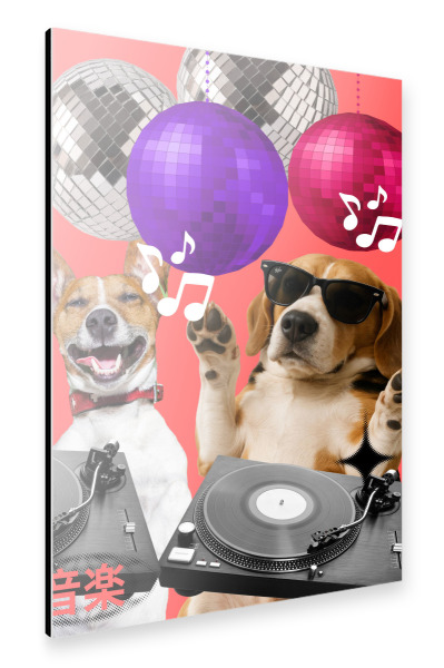 Alu-Dibond "Disco Dog DJ Party" 75x50 cm artboxONE