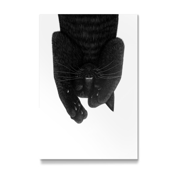 Galerie-Print "Black cat with paws down" 75x50 cm artboxONE