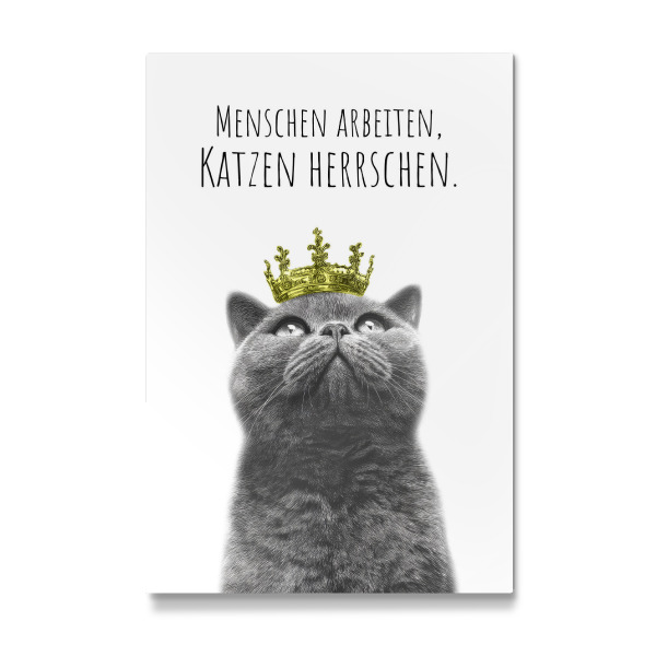 Galerie-Print "Coole Katze - Der Herrscher" 75x50 cm artboxONE
