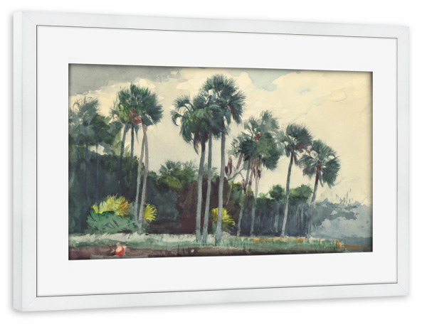 Poster mit Rahmen weiß "Homosassa" artboxONE - Natur,Reise