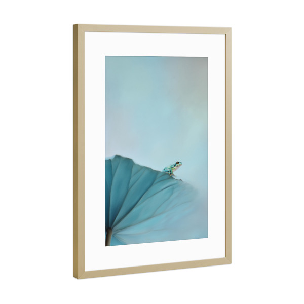 Poster mit Rahmen Gold "Frosch im Gleichgewicht" artboxONE - Natur,Floral,Tiere