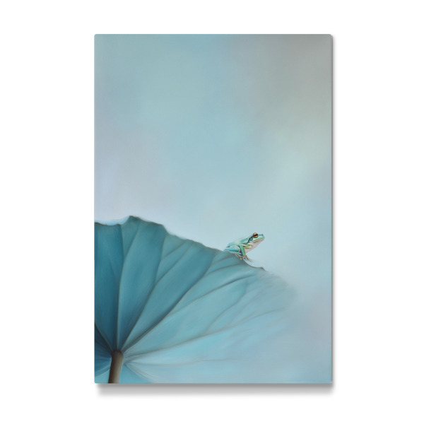 Galerie-Print "Frosch im Gleichgewicht" 75x50 cm artboxONE