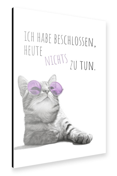 Alu-Dibond "Coole Katze - Nichtstun" 75x50 cm artboxONE