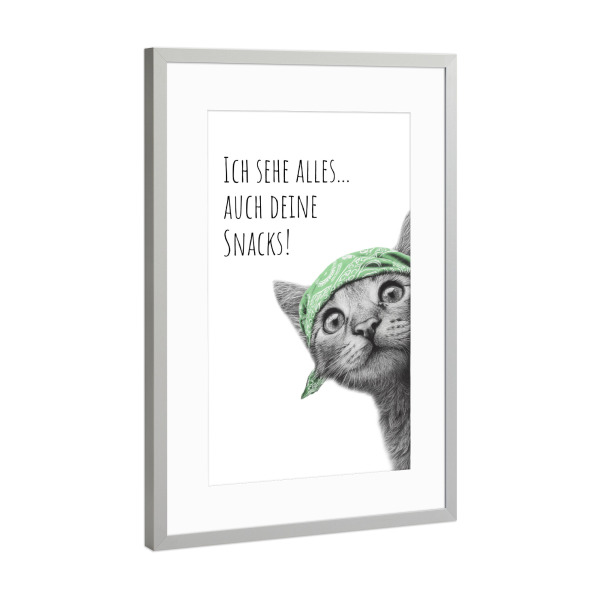 Poster mit Rahmen Silber "Coole Katze - Der Beobachter" artboxONE - Typografie,Tiere,Lustig