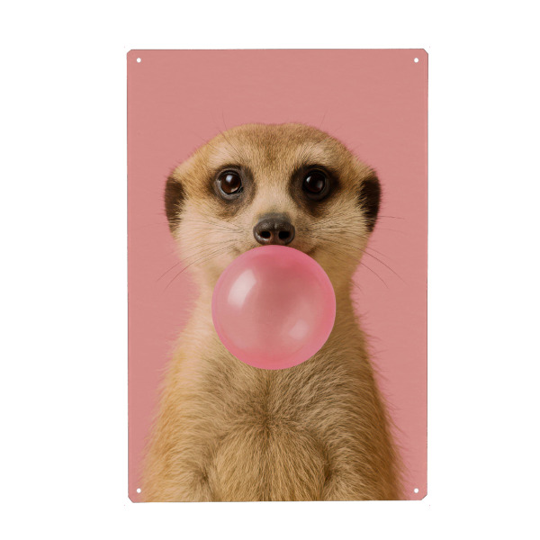 Metall Poster "Kaugummi-Erdmännchen" artboxONE - Tiere,Lustig