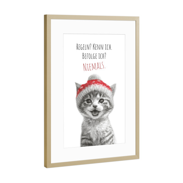 Poster mit Rahmen Gold "Coole Katze - Frechdachs" artboxONE - Typografie,Tiere,Lustig