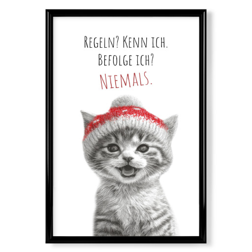 Coole Katze - Frechdachs