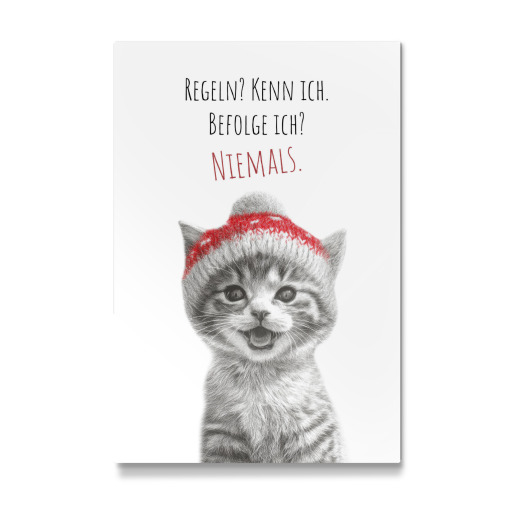 Coole Katze - Frechdachs