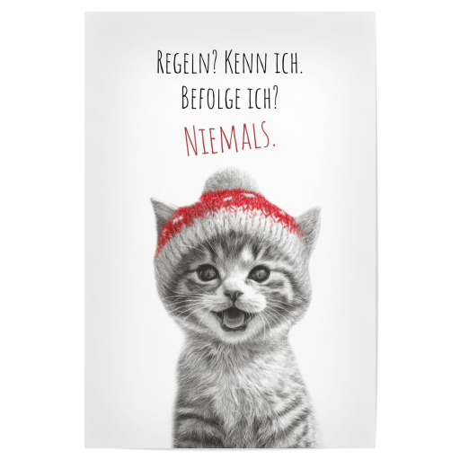 Coole Katze - Frechdachs