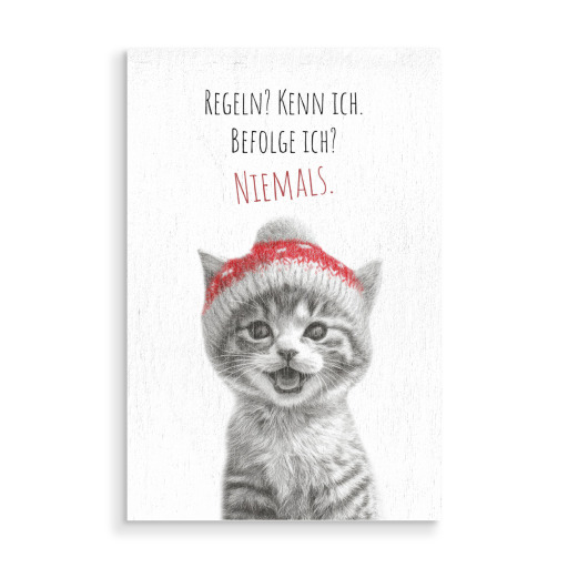 Coole Katze - Frechdachs