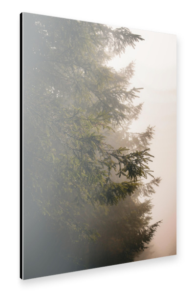 Alu-Dibond "Wald im mystischen Nebel" 30x20 cm artboxONE